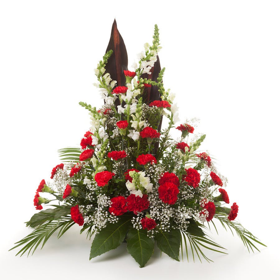 Livraison fleurs Bordeaux | Vente en ligne Fleur et Fleurs