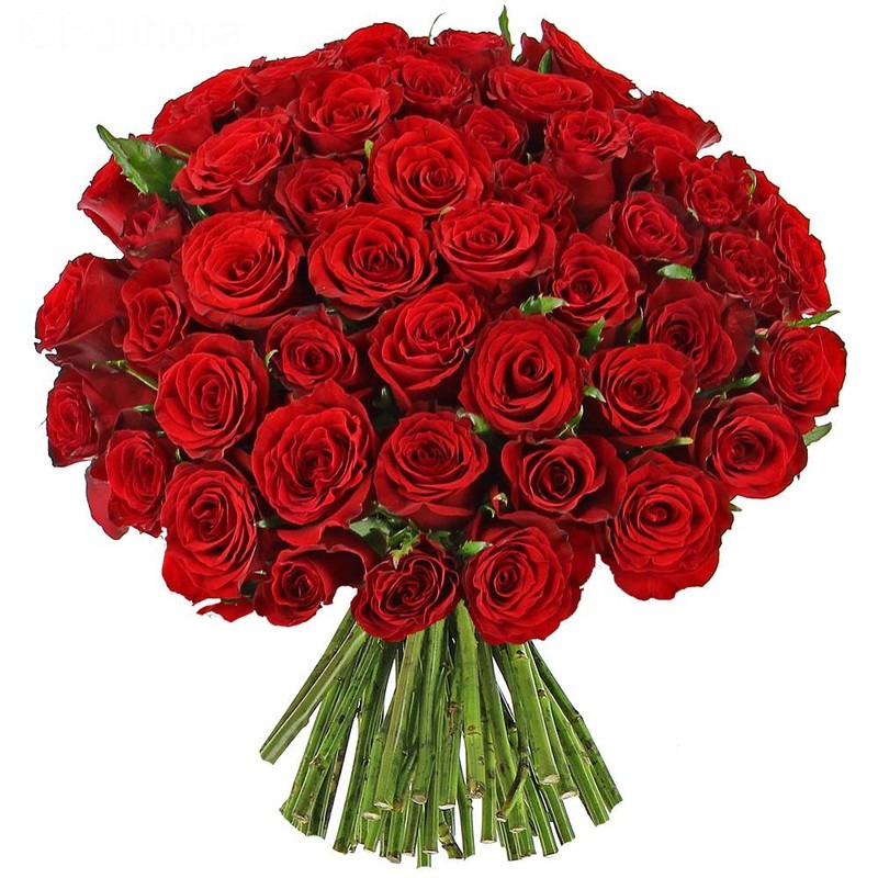 Livraison fleurs Bouquet Roses rouges | Vente en ligne Fleur et Fleurs