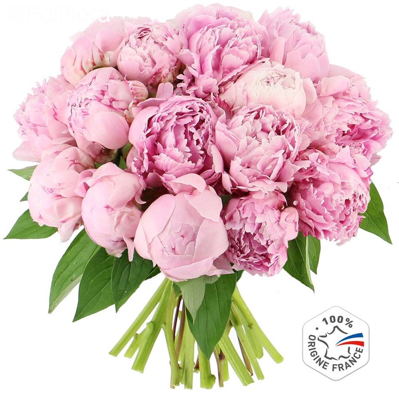 Livraison fleurs Pivoines | Vente en ligne Fleur et Fleurs