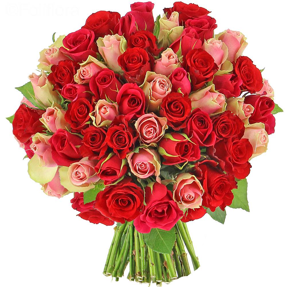 Livraison fleurs Roses roses et rouges | Vente en ligne Fleur et Fleurs