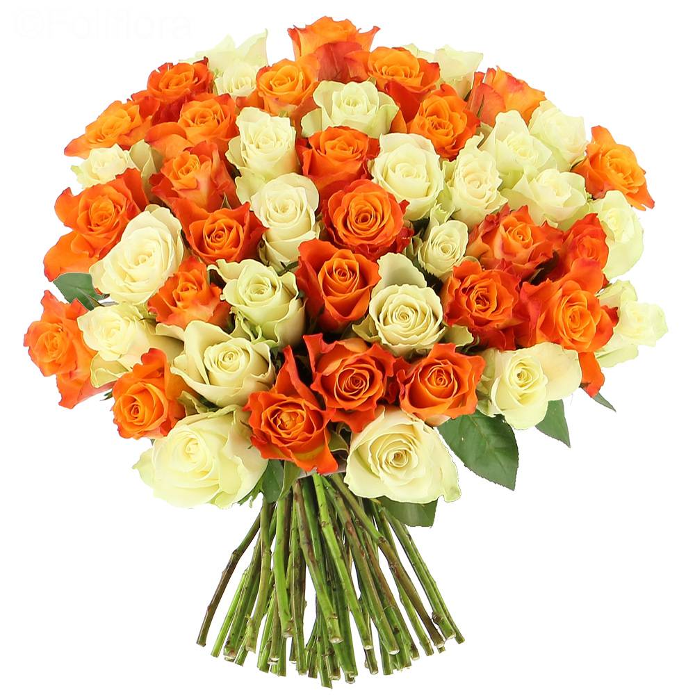 Livraison fleurs Roses Blanc/jaunes | Vente en ligne Fleur et Fleurs