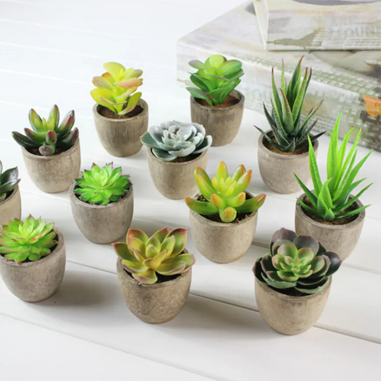 Trio de succulentes artificielles