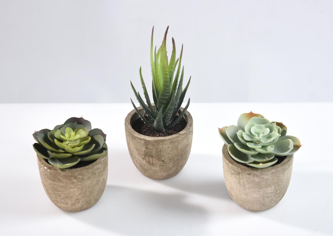 img-product Succulente artificielle en pot