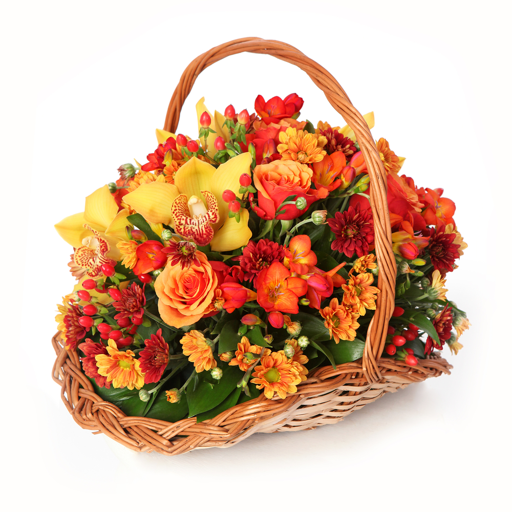 Livraison fleurs Corbeille chaude | Vente en ligne Fleur et Fleurs