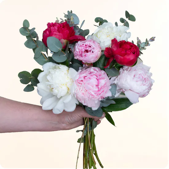 Reine des fleurs