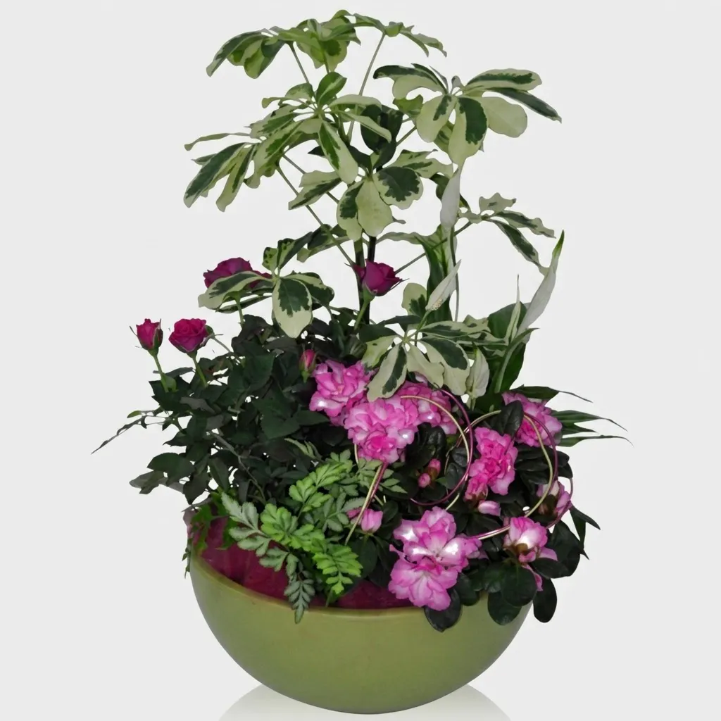SARDAIGNE (coupe de plantes)
