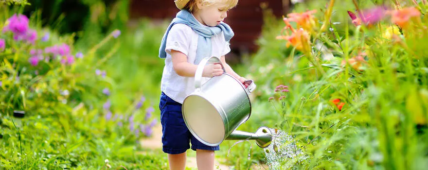 Quand arroser mes plantes vertes ?