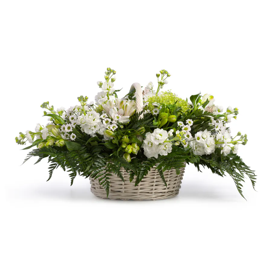 Coussin corbeille