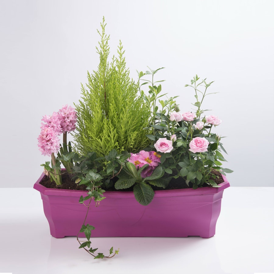 img-product Coupe Hommage